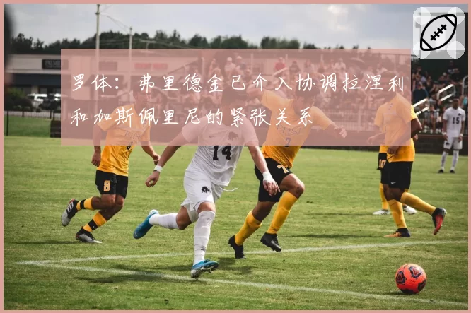 罗体：弗里德金已介入协调拉涅利和加斯佩里尼的紧张关系