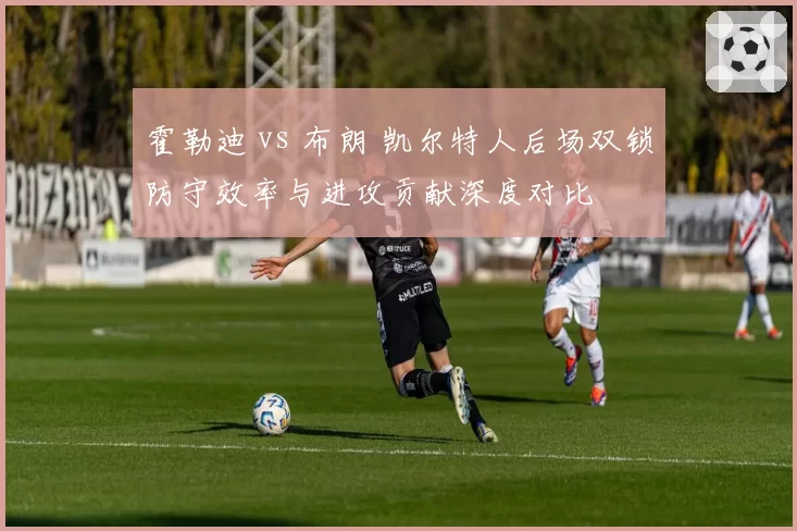 霍勒迪 vs 布朗 凯尔特人后场双锁防守效率与进攻贡献深度对比